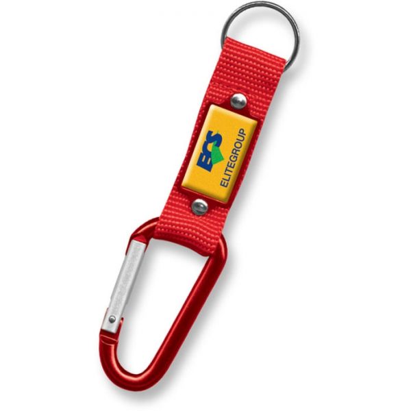 Carabiner Key Ring 107107