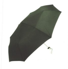 Mini Fold-up Umbrella  U7000